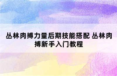 丛林肉搏力量后期技能搭配 丛林肉搏新手入门教程